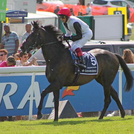 Frankie Dettori novou hvězdou sázkové platformy Stake